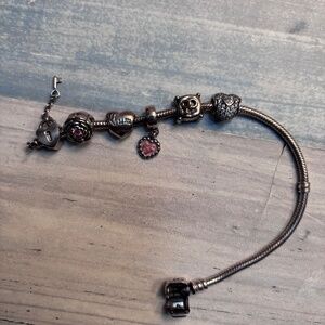 Pandora Charms & Bracelet